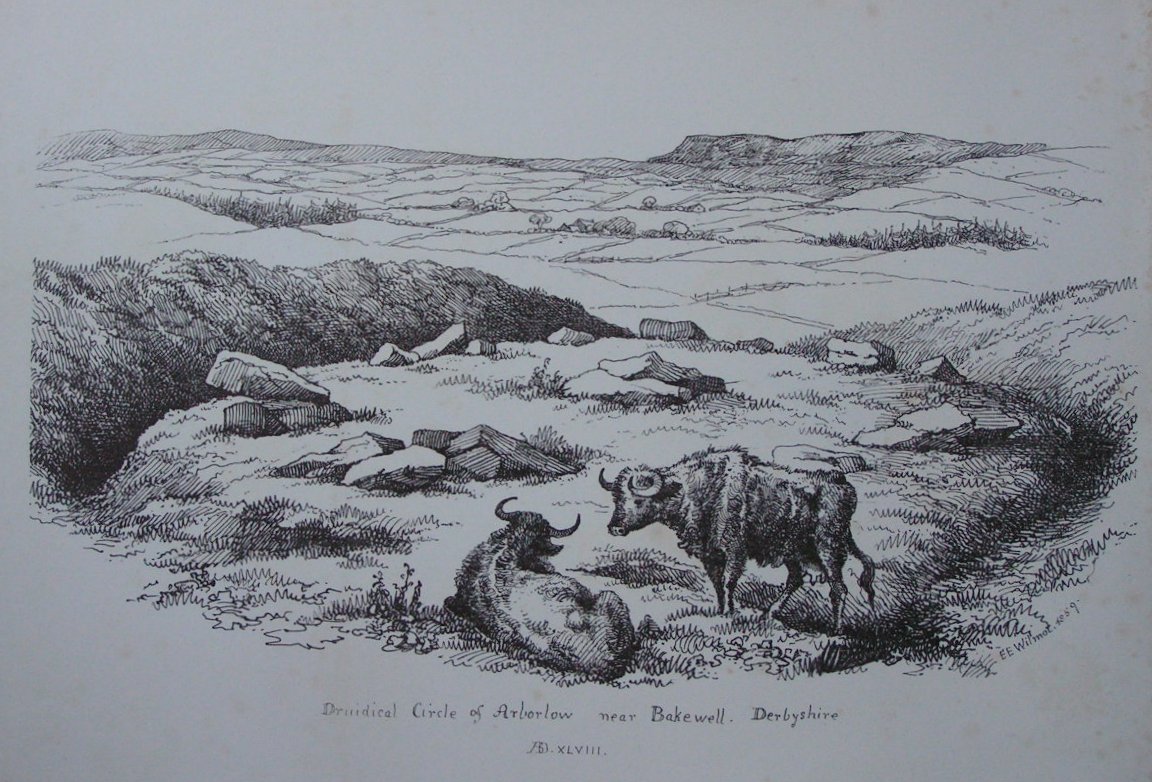 Lithograph - Druidical Circle of Arborlow near Bakewell, Derbyshire ASD XLVIII