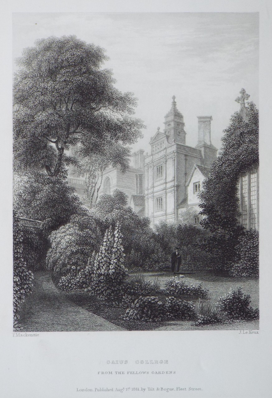 Print - Caius College from the Fellows Gardens. - Le