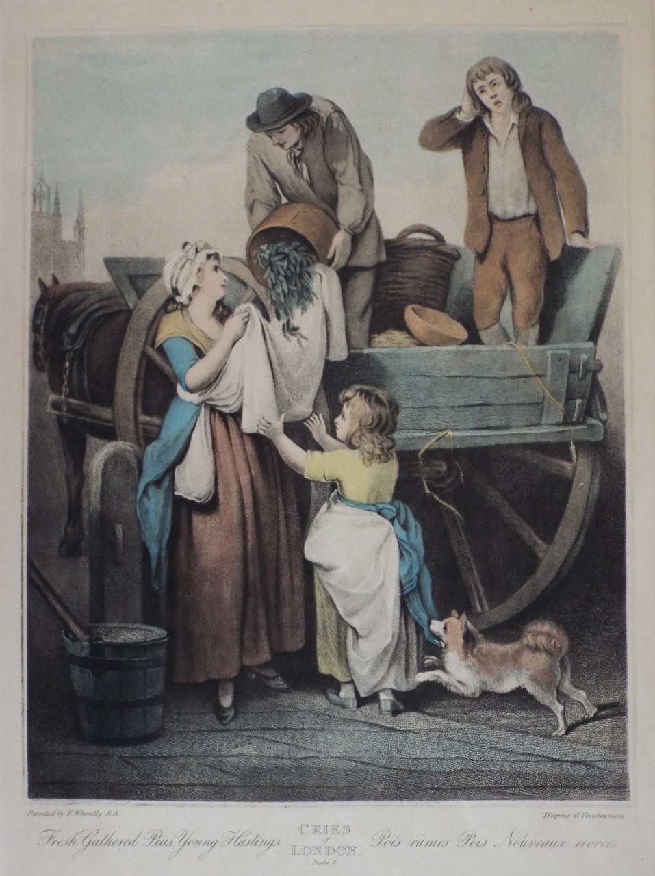 Lithograph - Cries of London Plate 7: Fresh Gathered Peas Young Hastings.
Pois rames Pois Nouveaux ecorees. - Vendramini