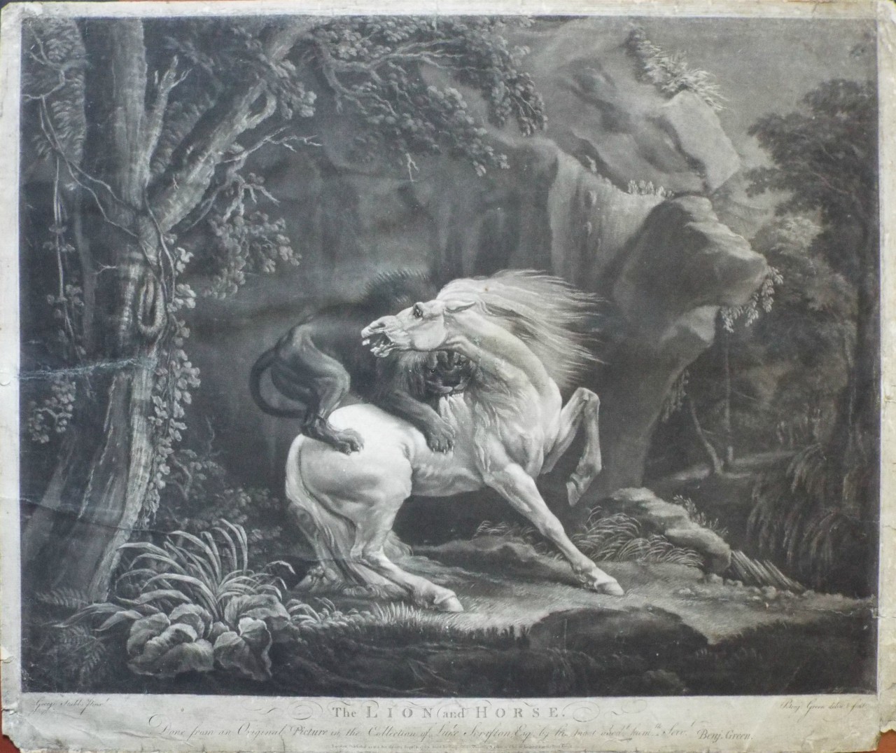 Mezzotint - The Lion and Horse. Done from an Original Picture in the Collection of Luke Seraston, Esqr. by his most obedt. humble Servt. Benj. Green. - Green