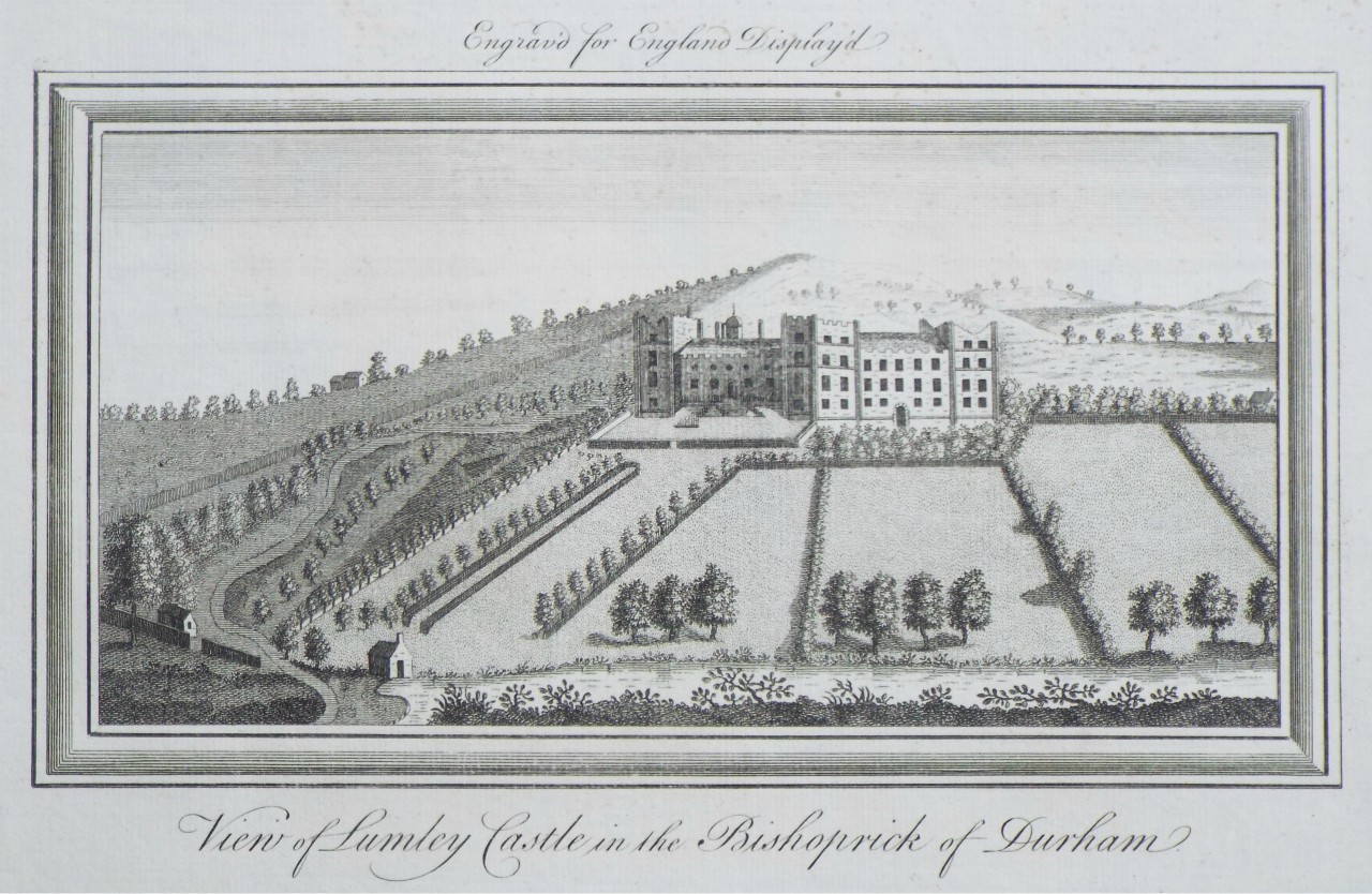 Print - View of Lumley Castle, in the Bishoprick of Durham.