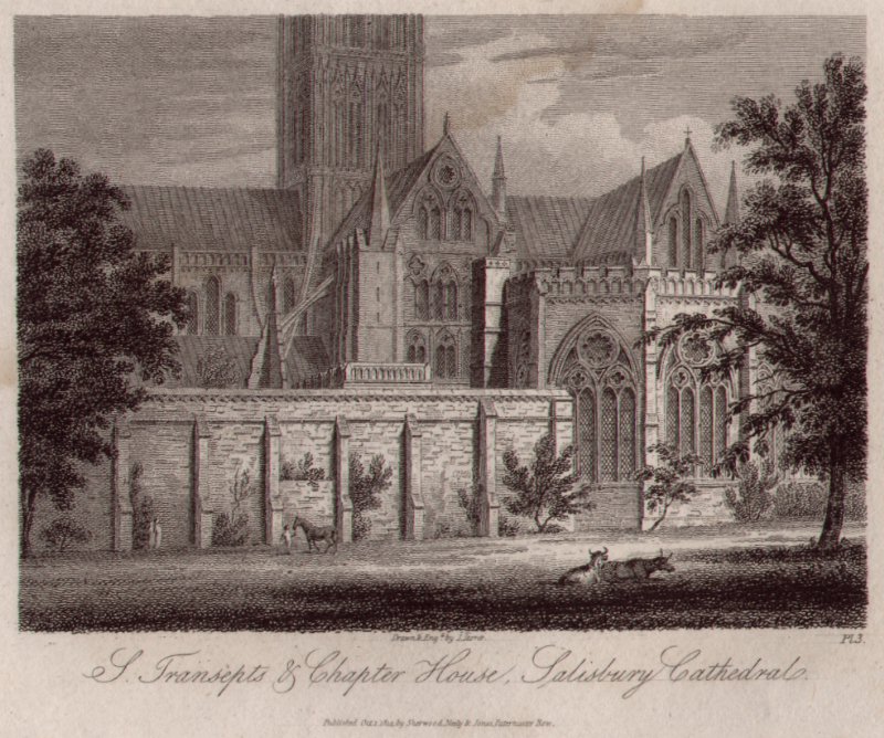 Print - S.Transepts & Chapter House, Salisbury Cathedral - Storer