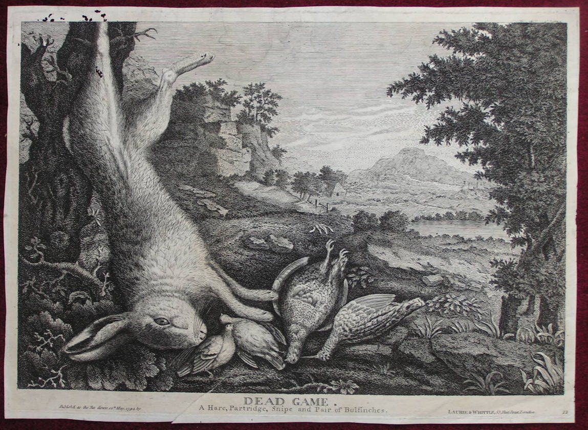 Print - Dead Game. A Hare, Partridge, Snipe and Pair of Bullfinches.