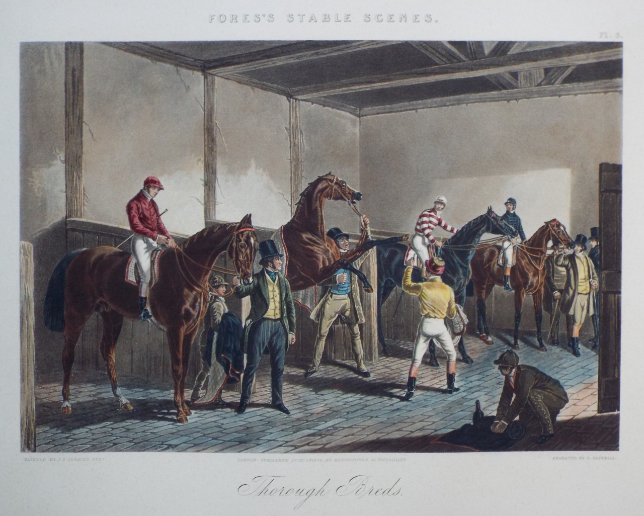 Aquatint - Fores's Stable Scenes. Thorough Breds. - Papprill