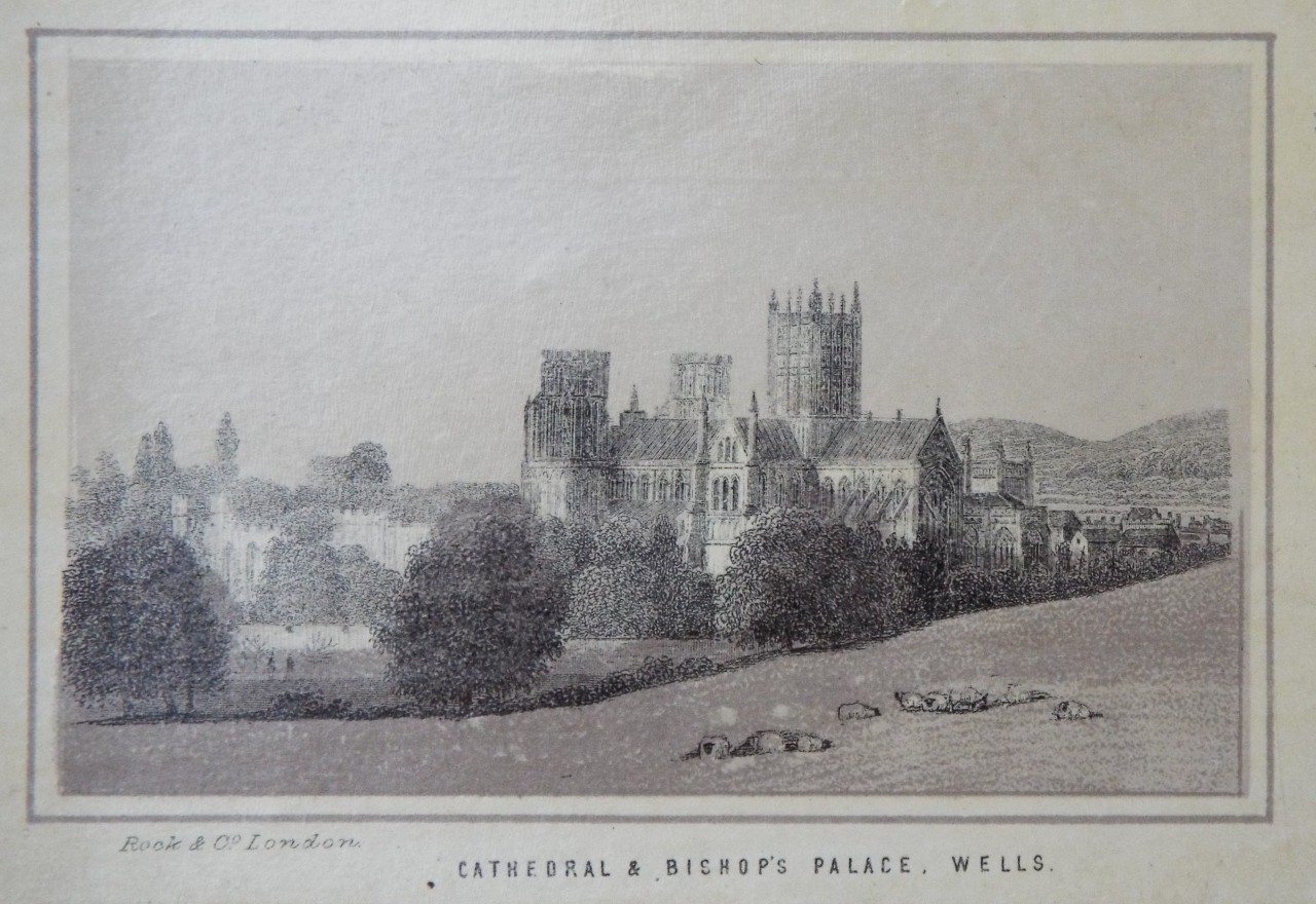 Lithograph - Cathedral & Bishop's Palace, Wells.