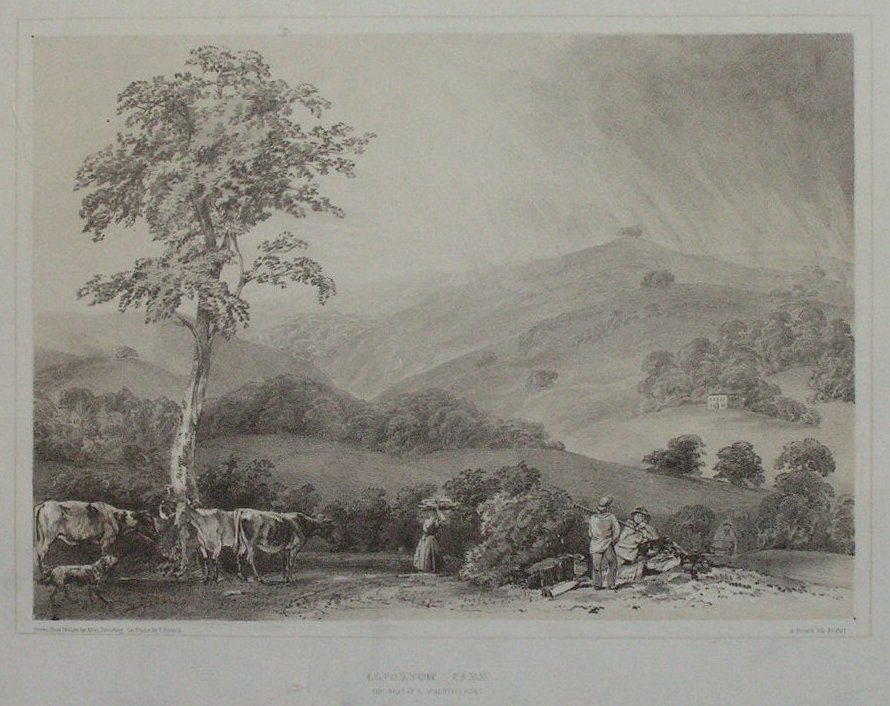 Lithograph - Alfoxton Park The Seat of L St Albyns Esq - Pocock