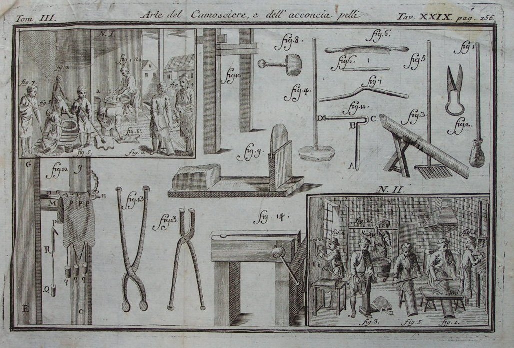 Print - Arte del Camosciere, e dell' acconia pelli Tom III Tav XXIX pag 256