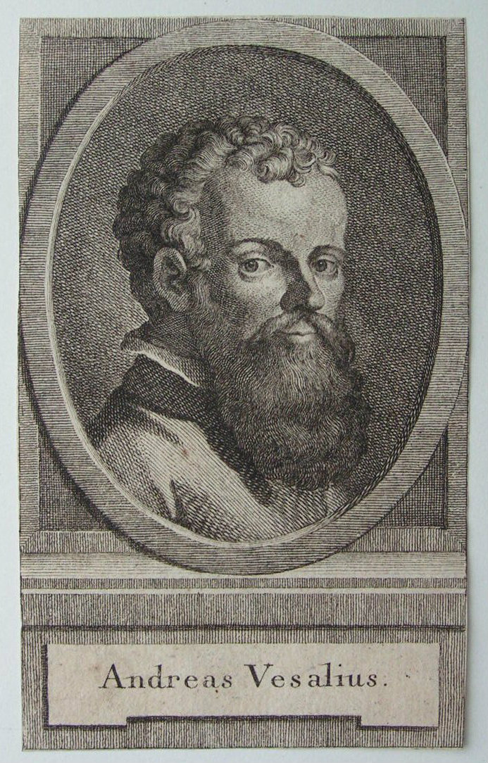 Print - Andreas Vesalius