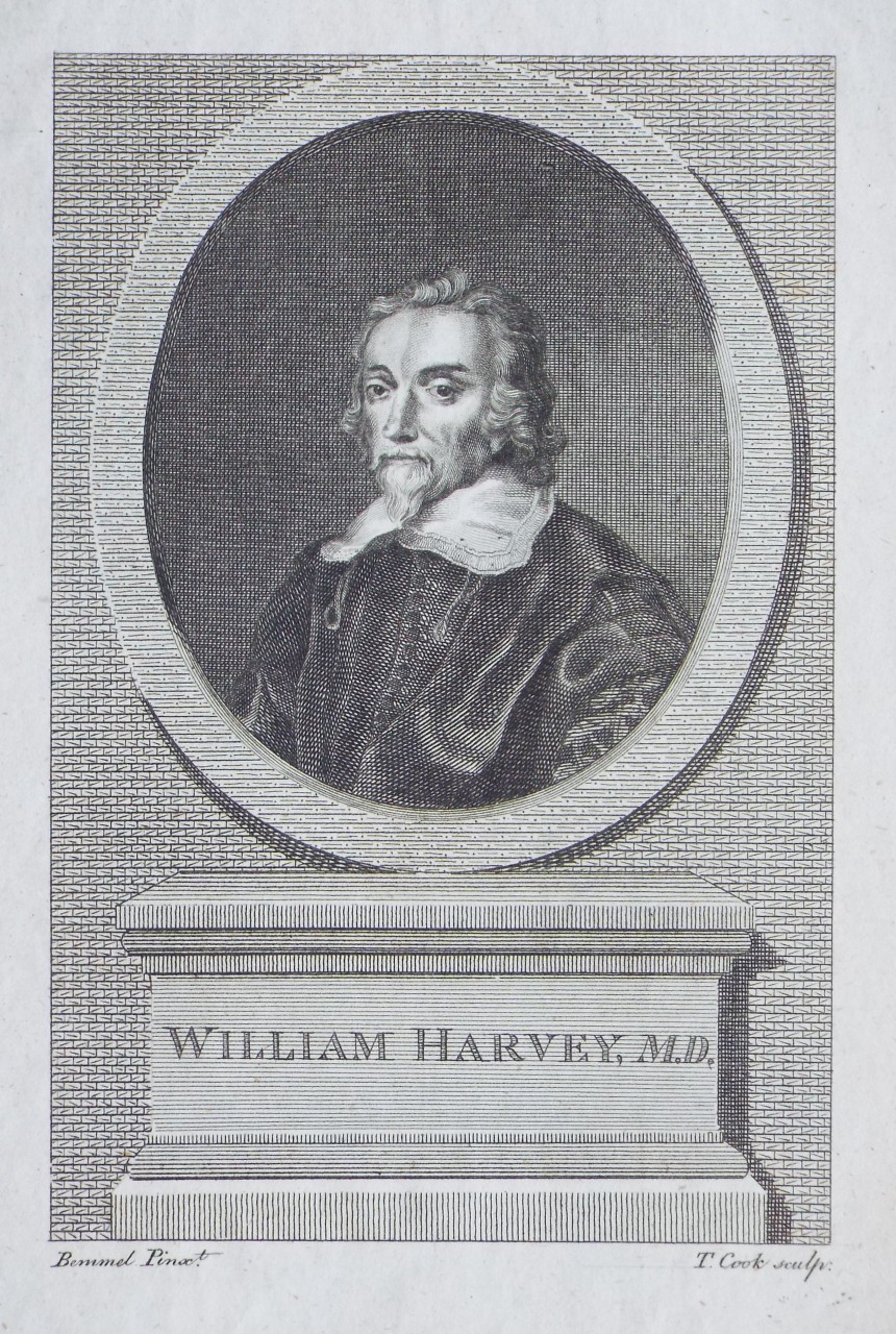 Print - William Harvey, M.D. - Cook