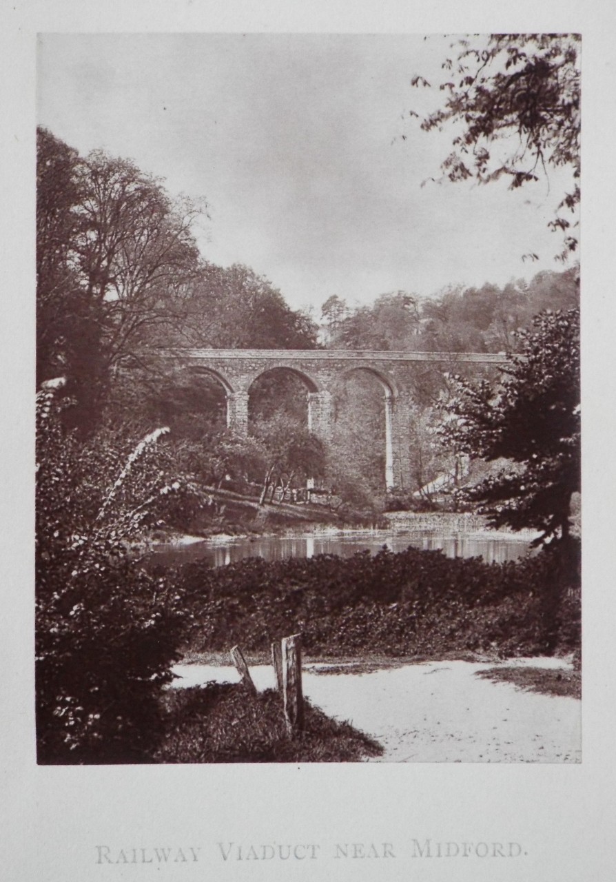 Photorraph - Railway Viaduct near Midford.