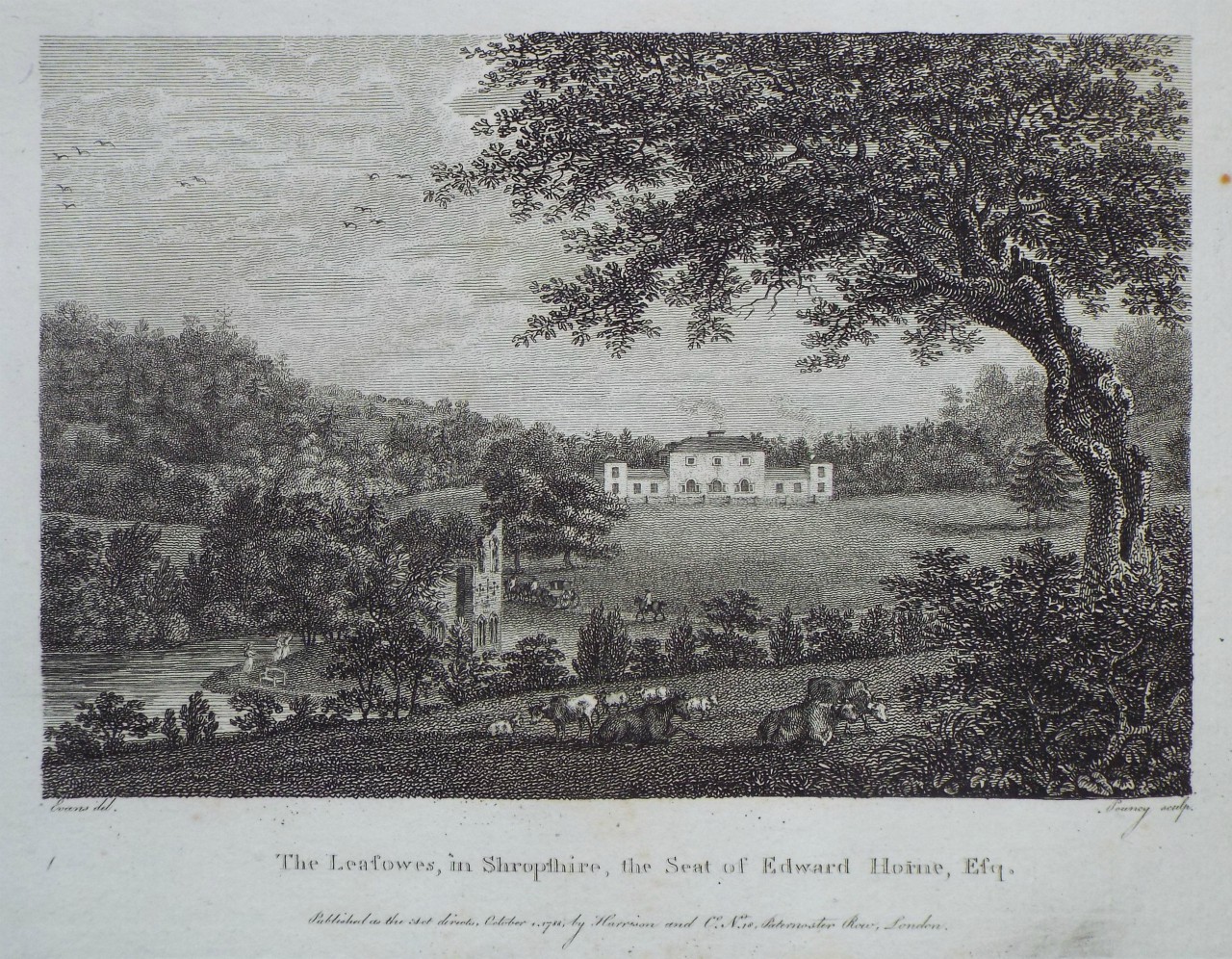 Print - The Leasowes, in Shropshire, the Seat of Edward Horne, Esq. - 