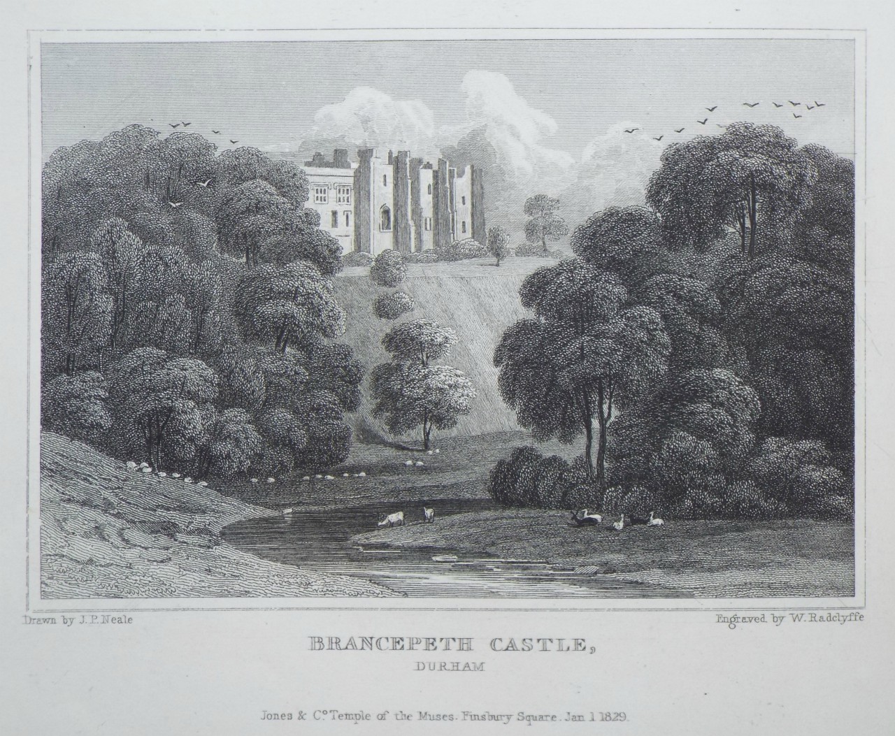 Print - Brancepath Castle, Durham. - Radclyffe