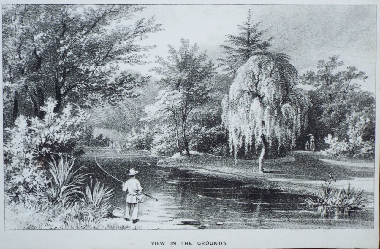 Lithograph - View in the Grounds (of Byfleet Lodge)
