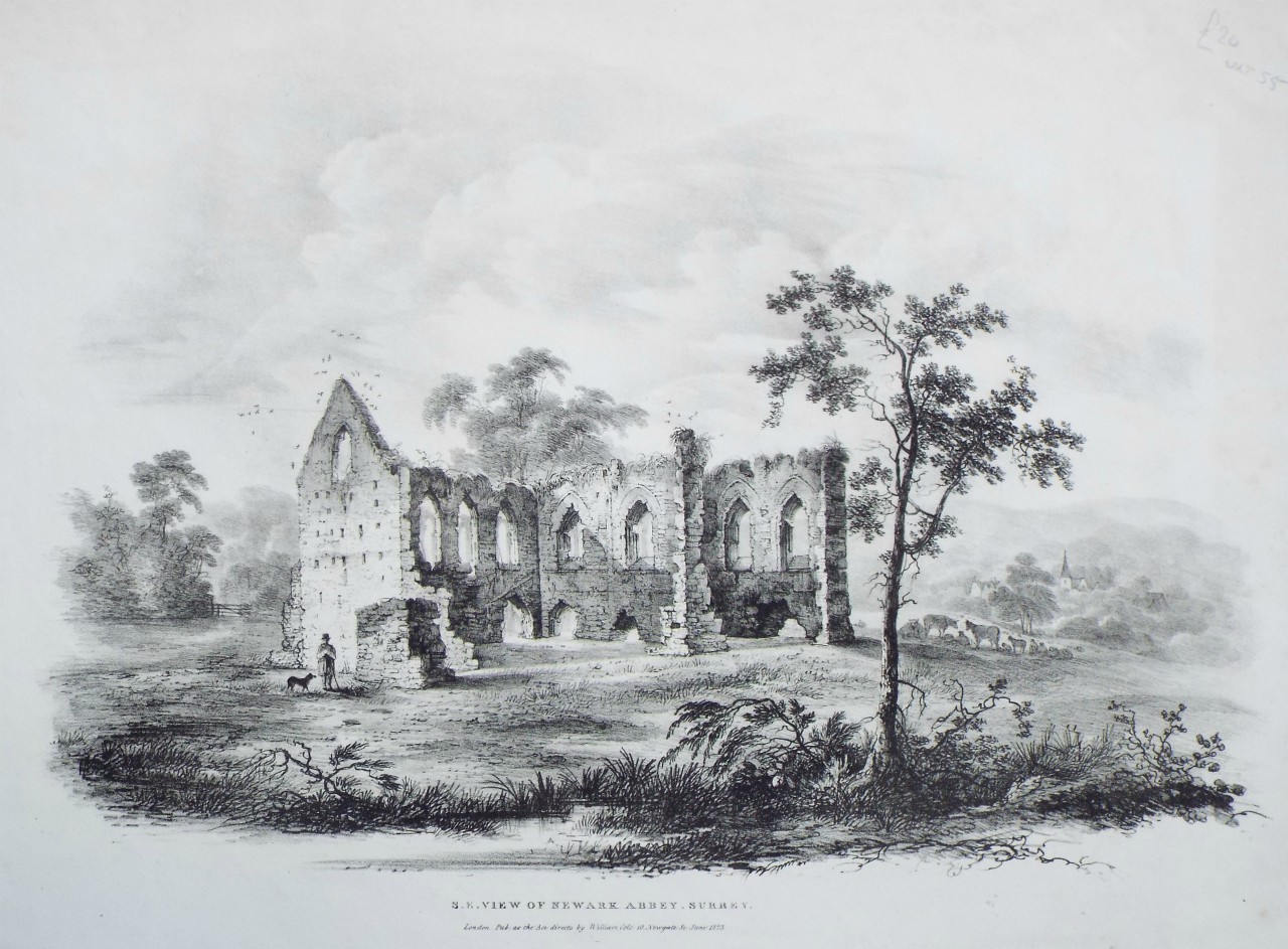 Lithograph - S.E. View of Newark Abbey, Surrey.