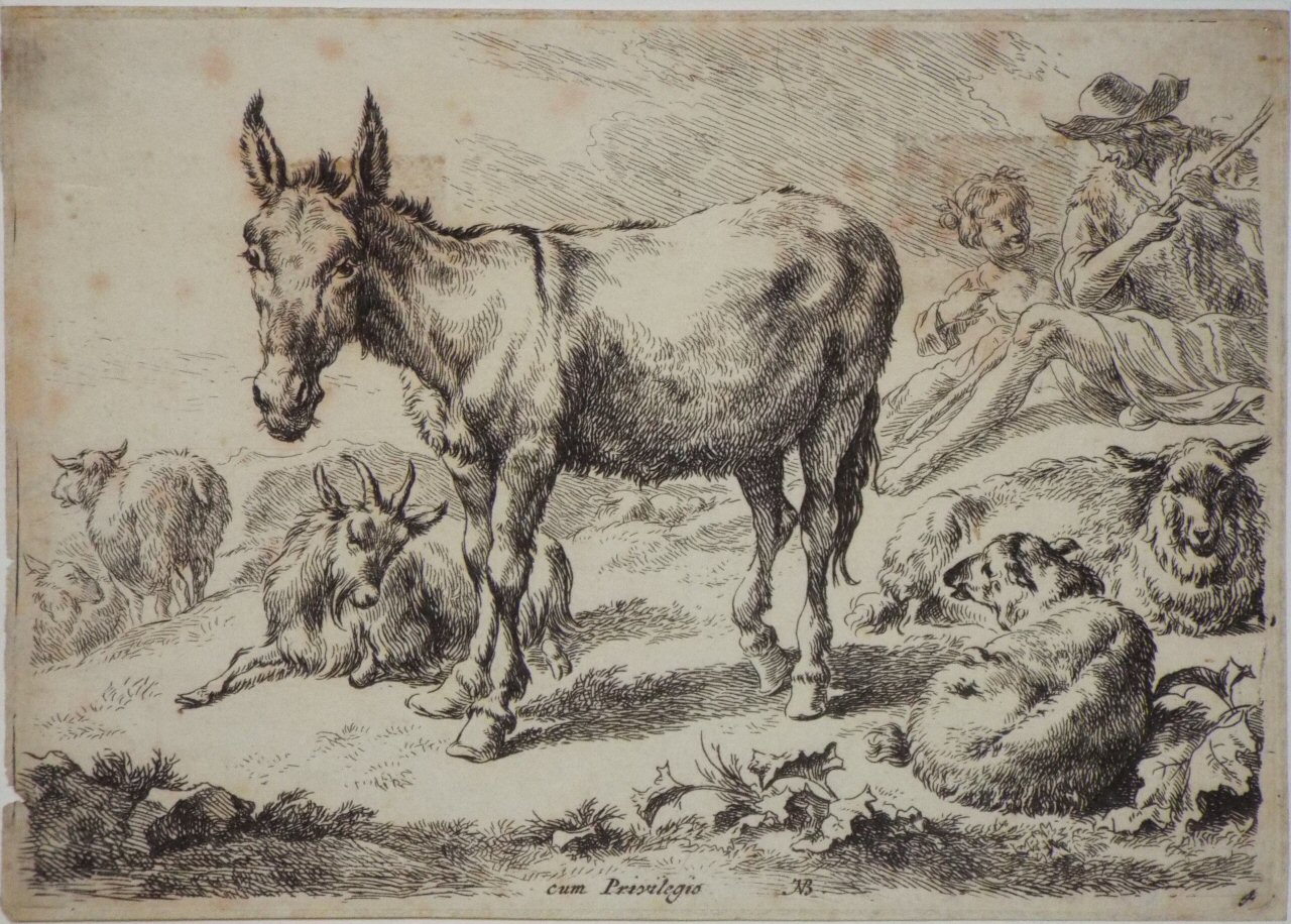 Etching - Donkey, Sheep & Goats - Berchem