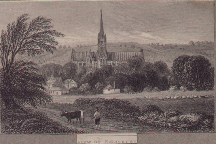Print - View of Salisbury