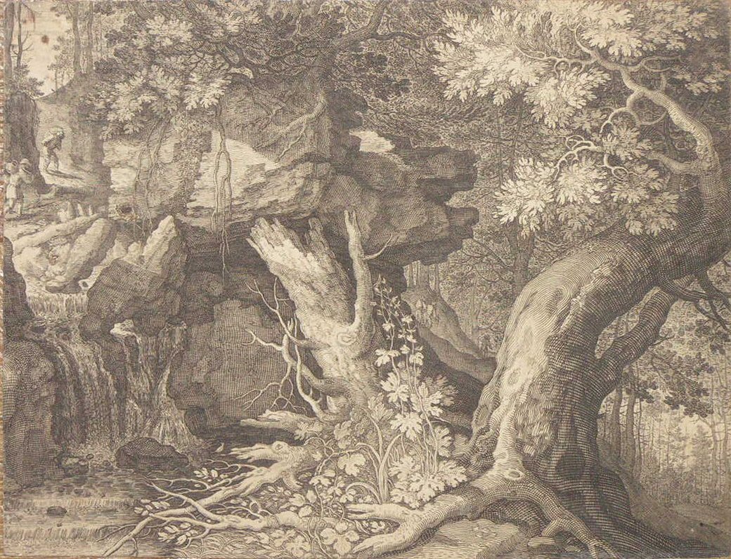 Etching - (Woodland scene)