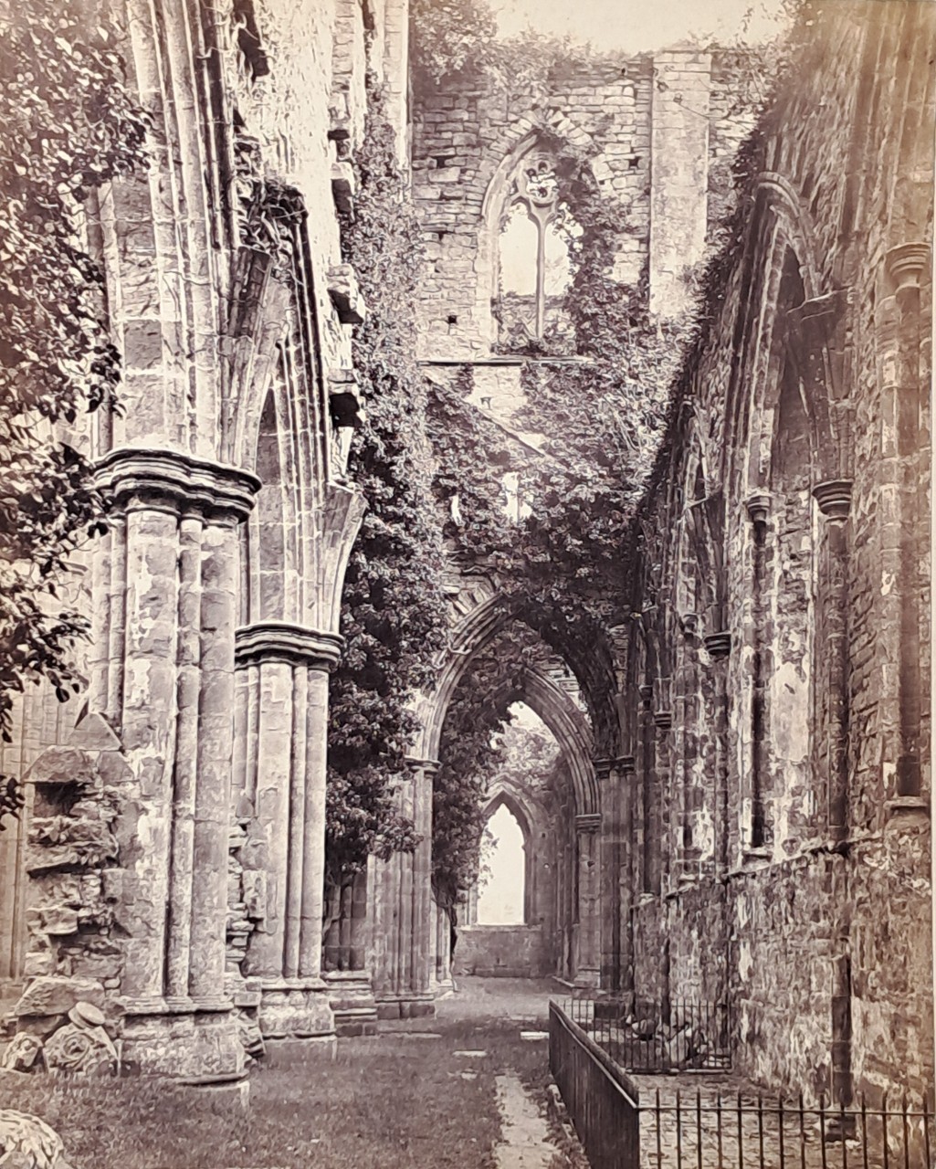 Photograph - S. Transept Tintern.