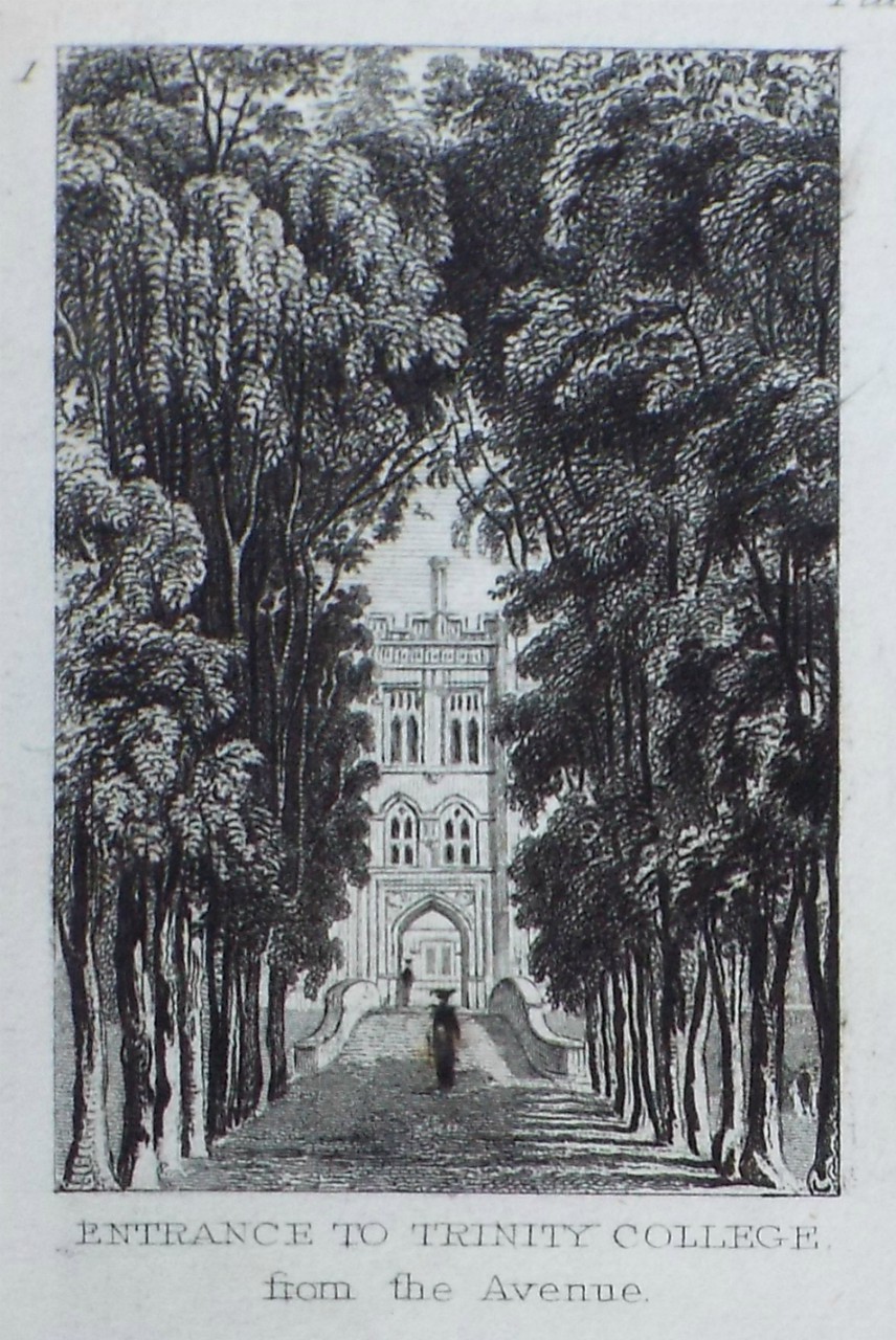 Print - Entrance to Trinity College - Rawle