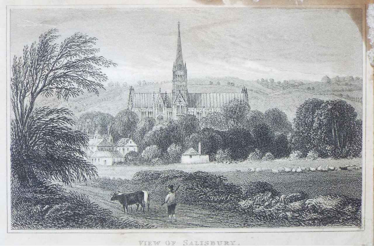 Print - View of Salisbury.