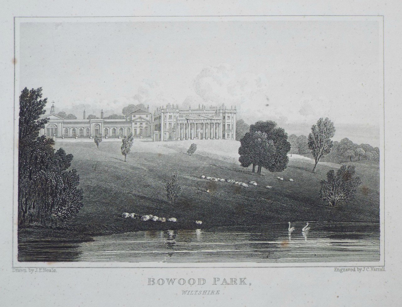 Print - Bowood Park, Wiltshire. - Byrne