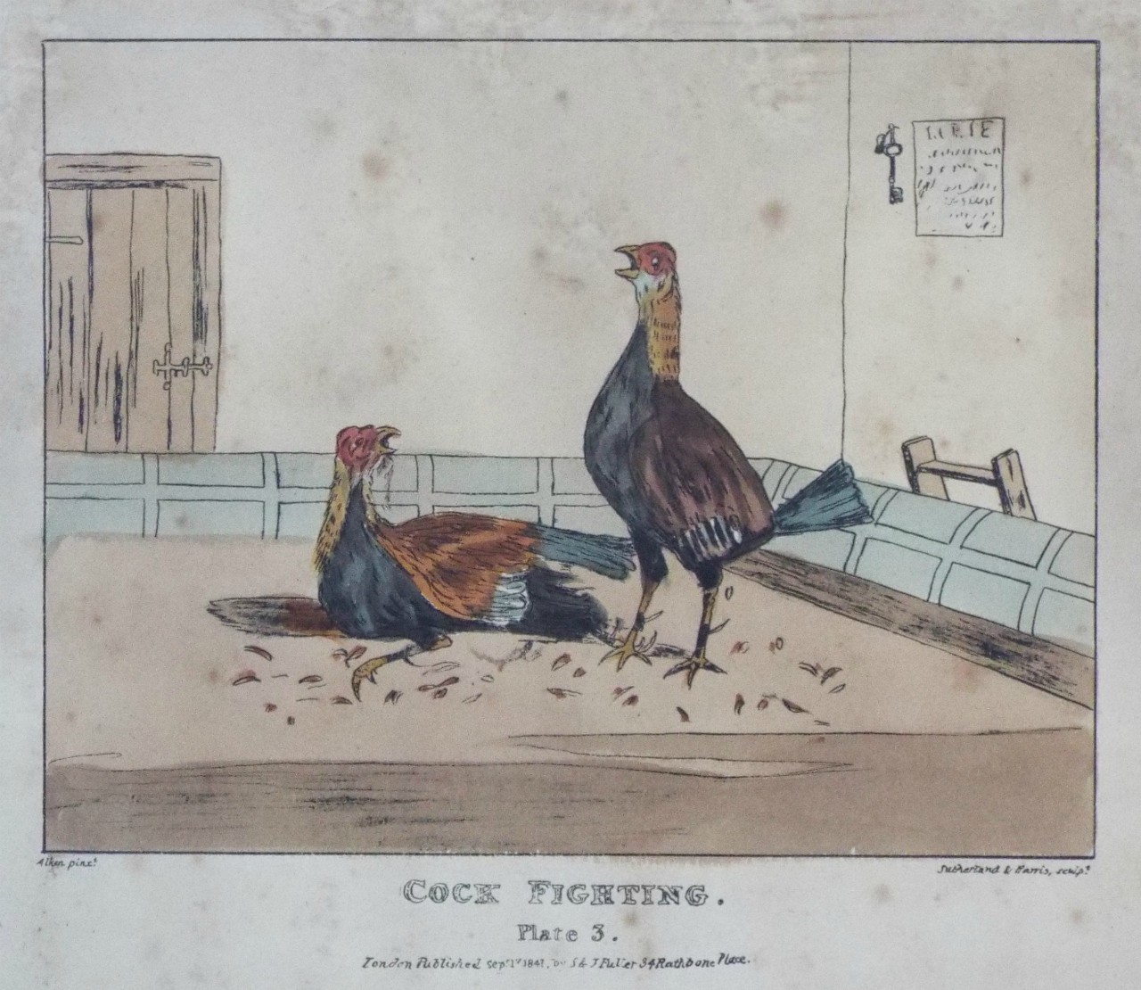 Lithograph - 4 Cock Fighting Plate 3. - Sutherland