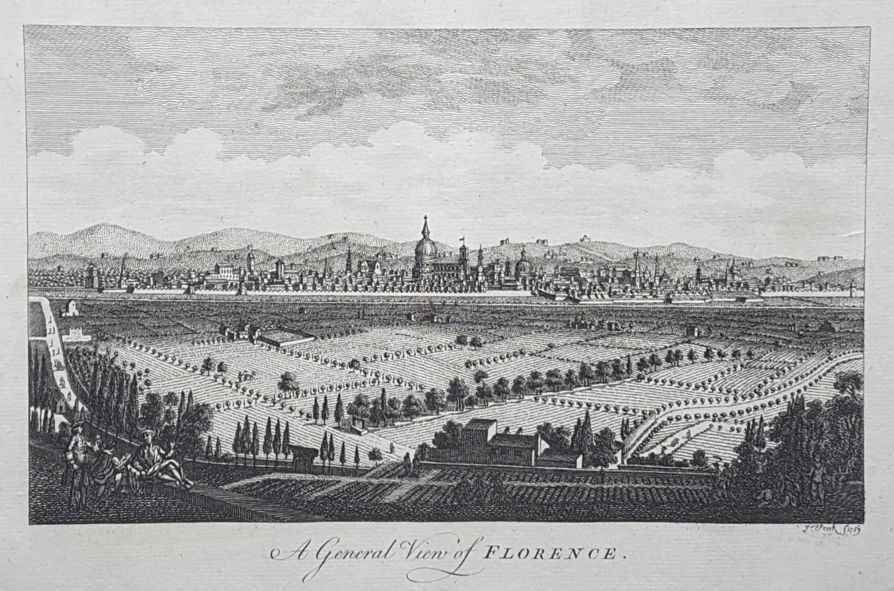 Print - A General View of Florence. - 