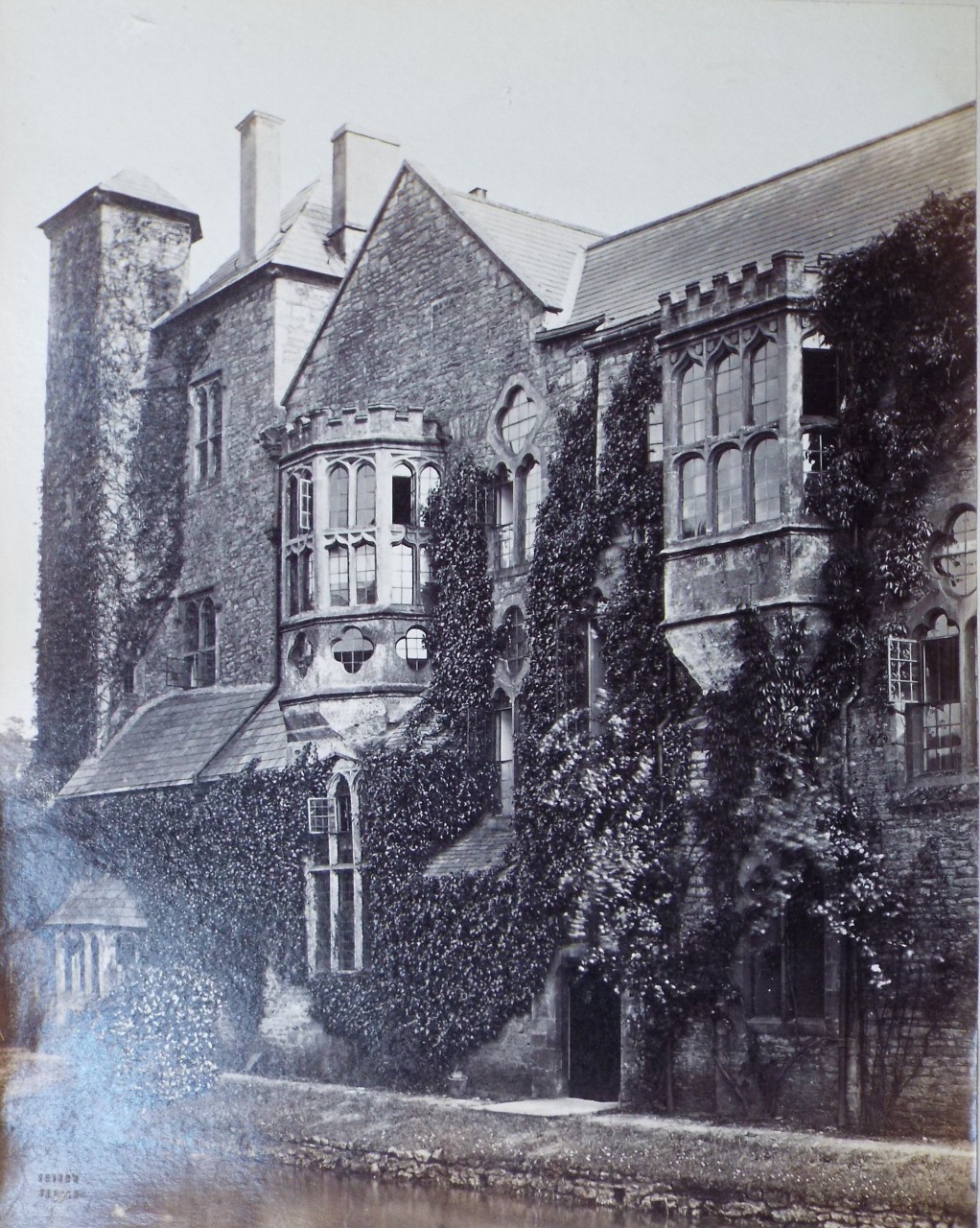 Photograph - Bishop's Palace, Wells.