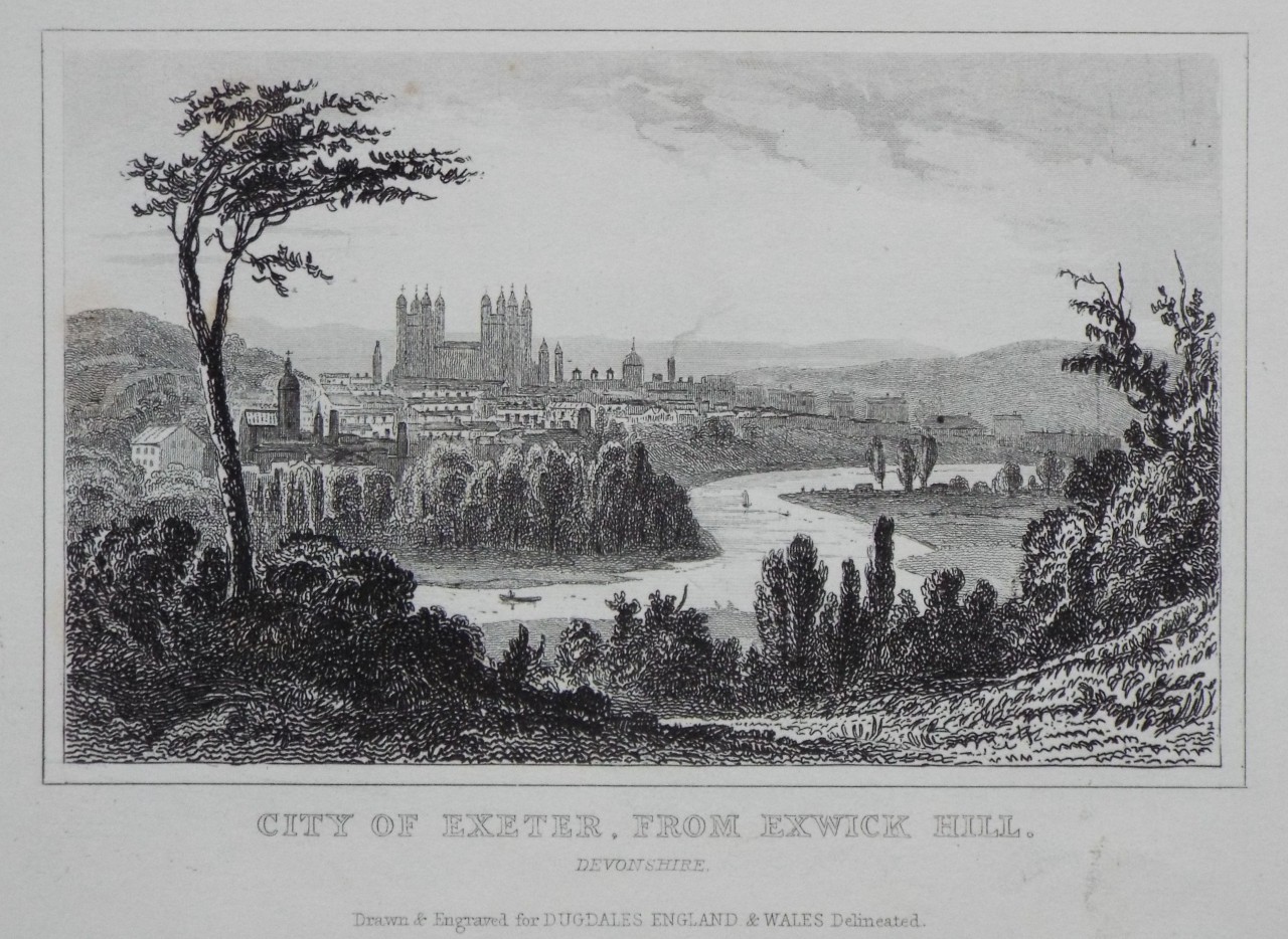 Print - City of Exeter, from Exwick Hill. Devonshire.