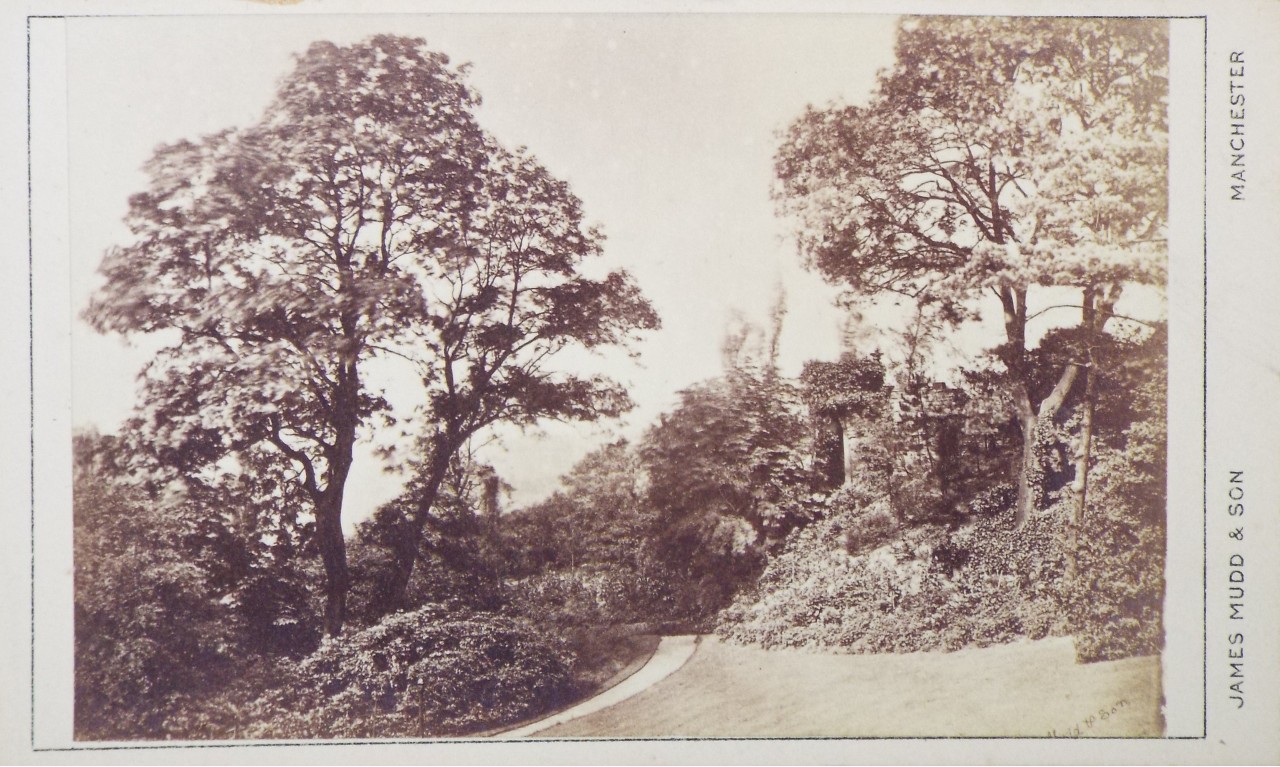 Photograph - Manchester Park?