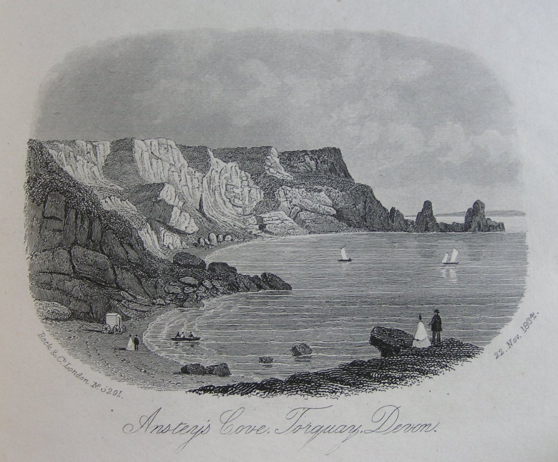 Steel Vignette - Anstey's Cove, Torquay, Devon - Rock