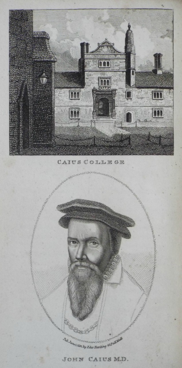 Print - Caius College | John Caius M.D.