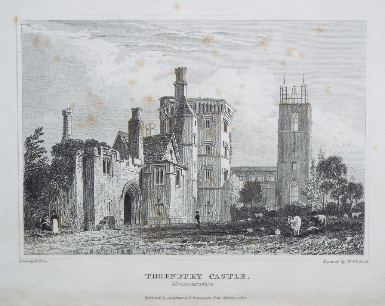 Print - Thornbury Castle, Gloucestershire. - Woolnoth