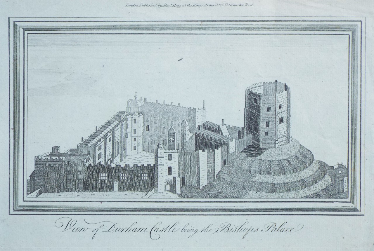 Print - View of Durham Castle being the Bishops Palace