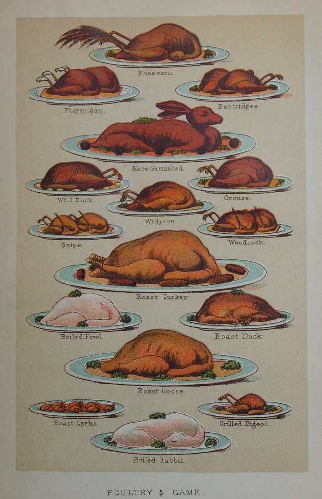 Chromolithograph - Poultry & Game