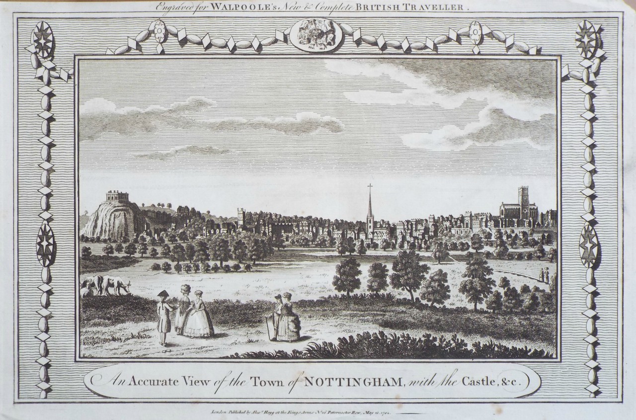 Print - An Accurate View of the Town of Nottingham, with the Castle, &c.