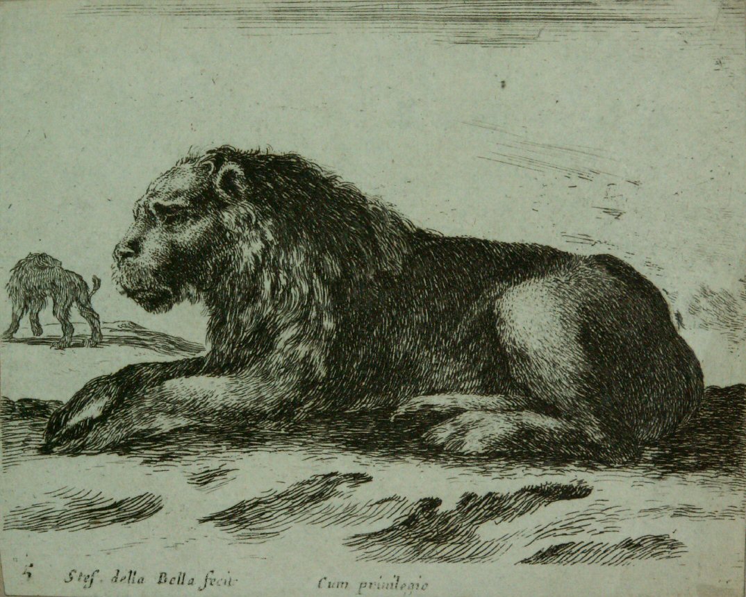 Etching - Reclining Lion - Della