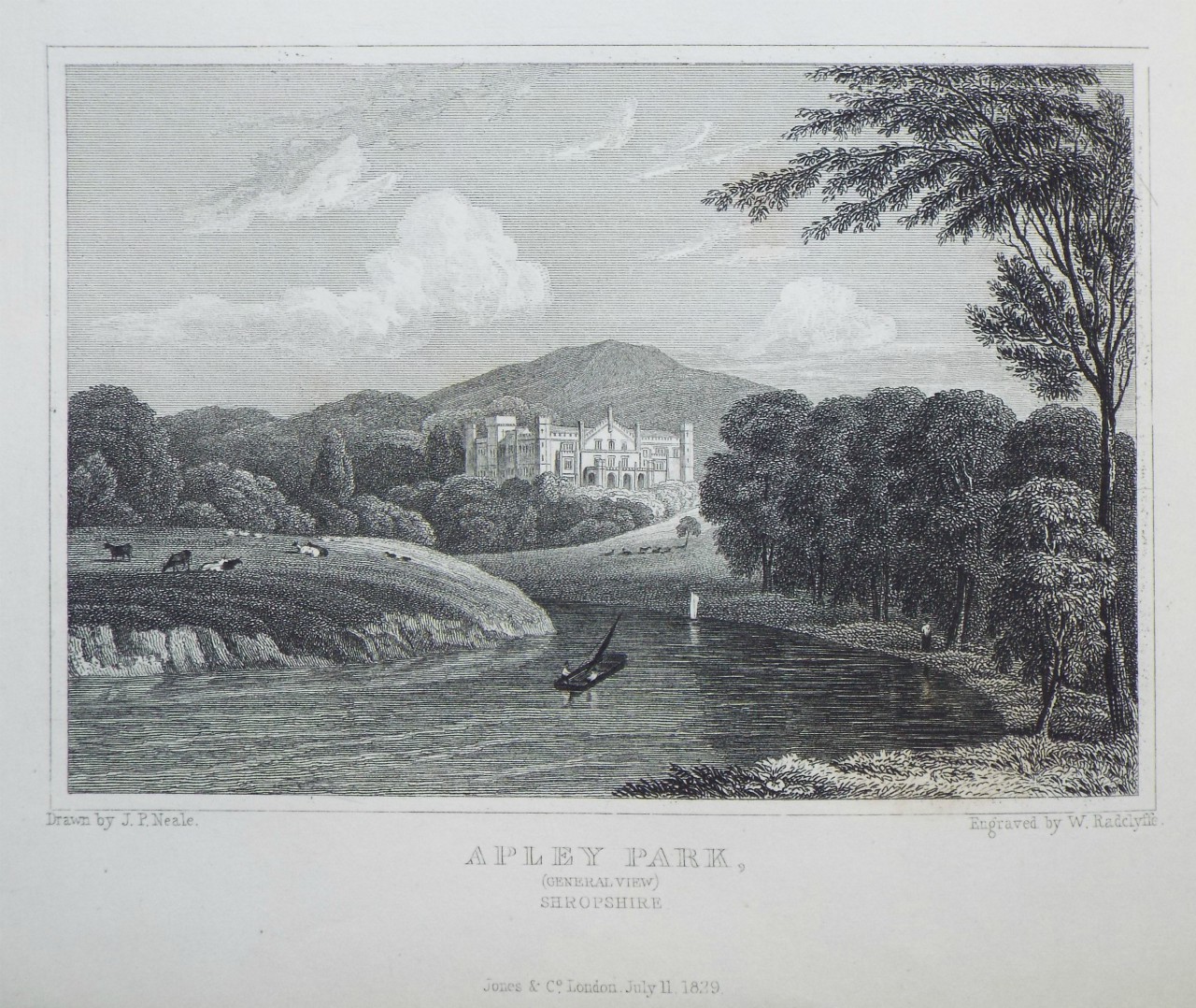 Print - Apley Park, (General View) Shropshire. - Radclyffe