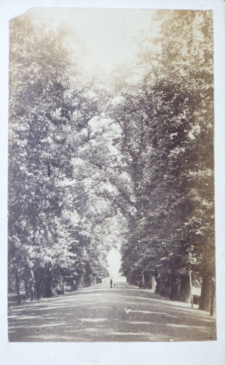 Photograph - Broad Walk, Oxford