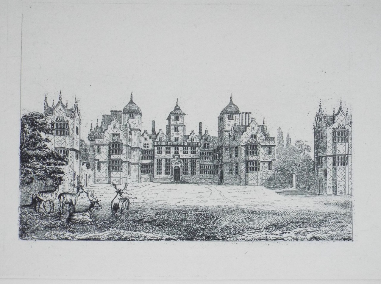 Etching - (Alton Hall) - Wilkinson