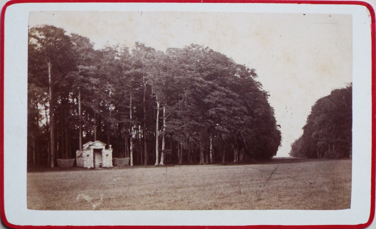 Photograph - Cirencester Park - Pope's Seat