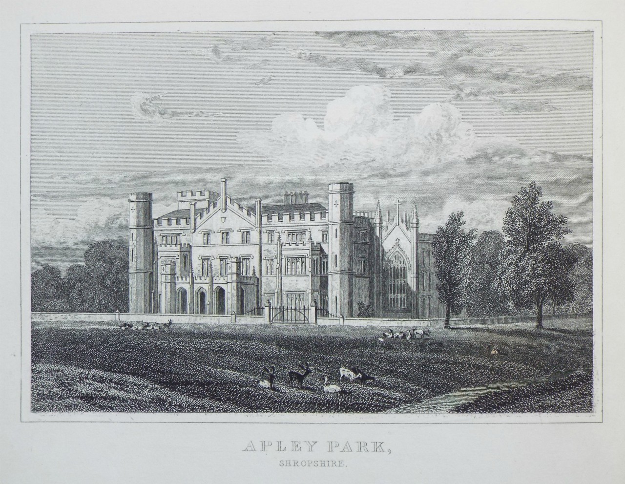 Print - Apley Park, Shropshire. - Radclyffe