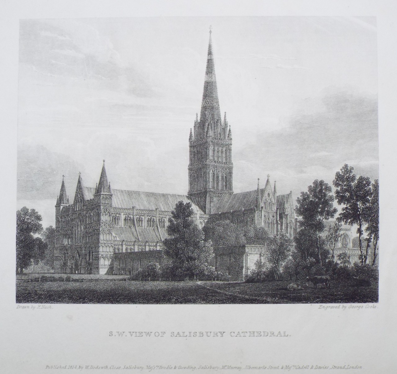 Print - S.W.View of Salisbury Cathedral - Cooke