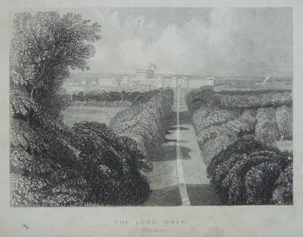 Print - The Long Walk, Windsor.