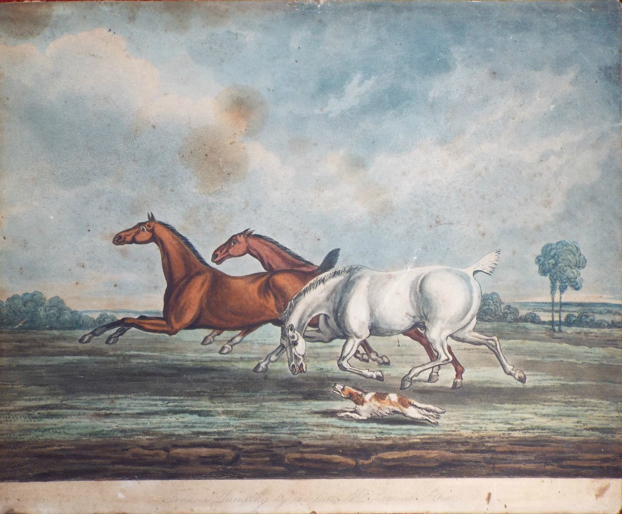 Aquatint - From a Painting by the late Mr. Samuel Alkin.