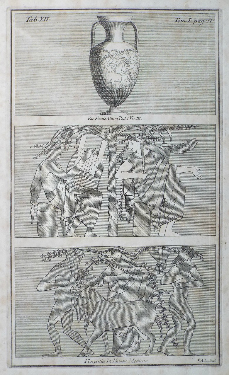 Print - Florentiae In Musaeo Mediceo