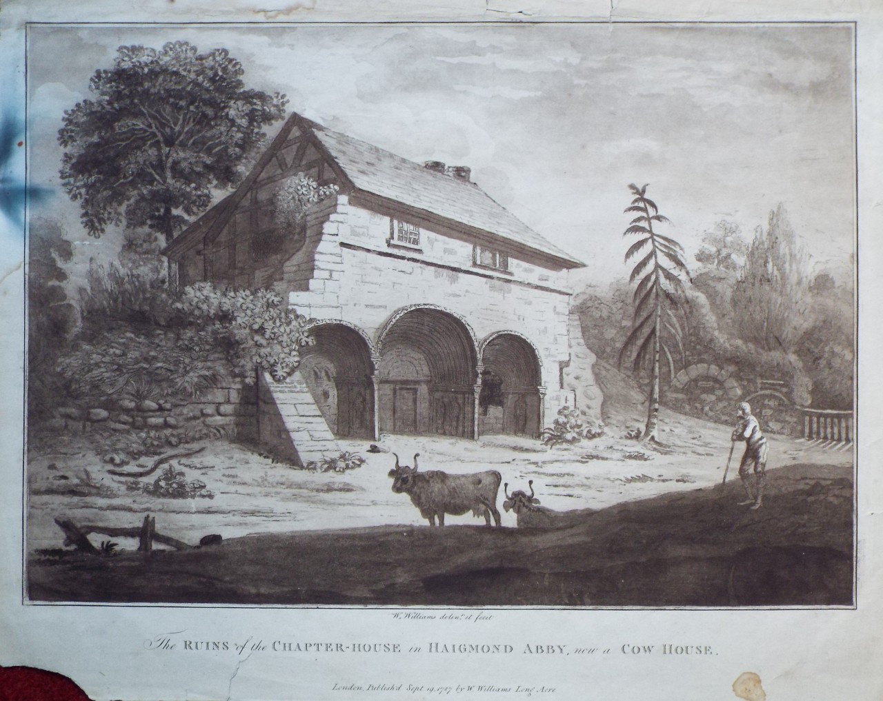 Aquatint - The Ruins of the Chapter-House in Haigmond Abby, now a Cow House. - Williams