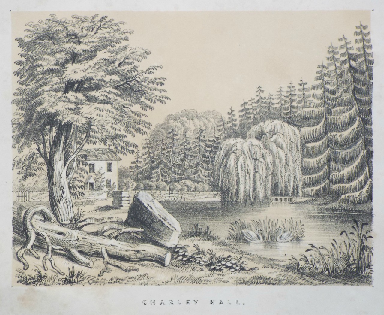 Lithograph - Charley Hall. - Palmer