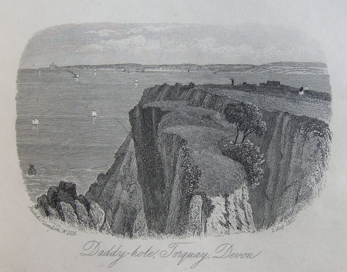 Steel Vignette - Daddy-Hole, Torquay, Devon - Rock