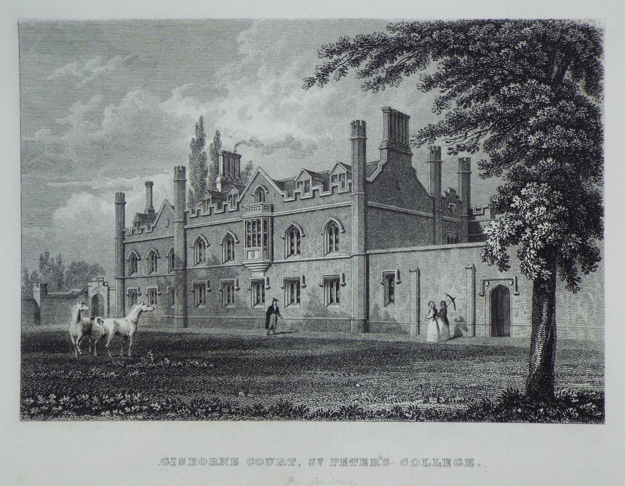 Print - Gisborne Court, St. Peter's Pollege. from the Grove.